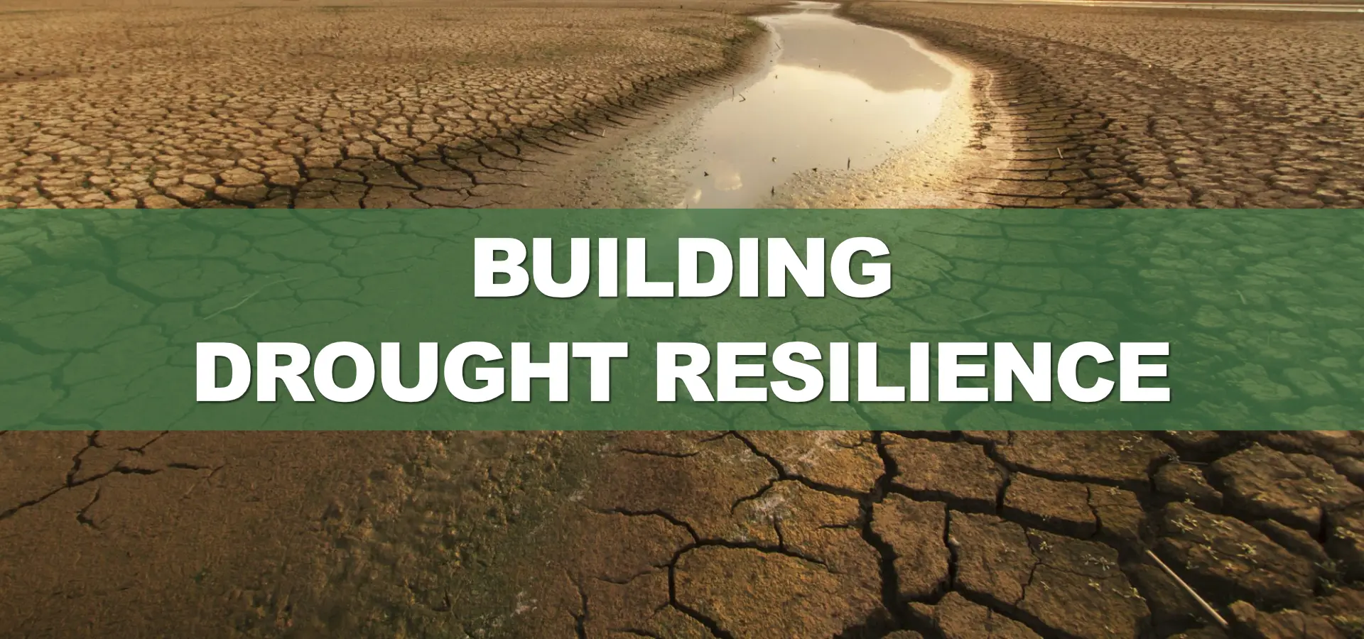 Building Drought Resilience Building Drought Resilience World Environment Day 2024 Theme