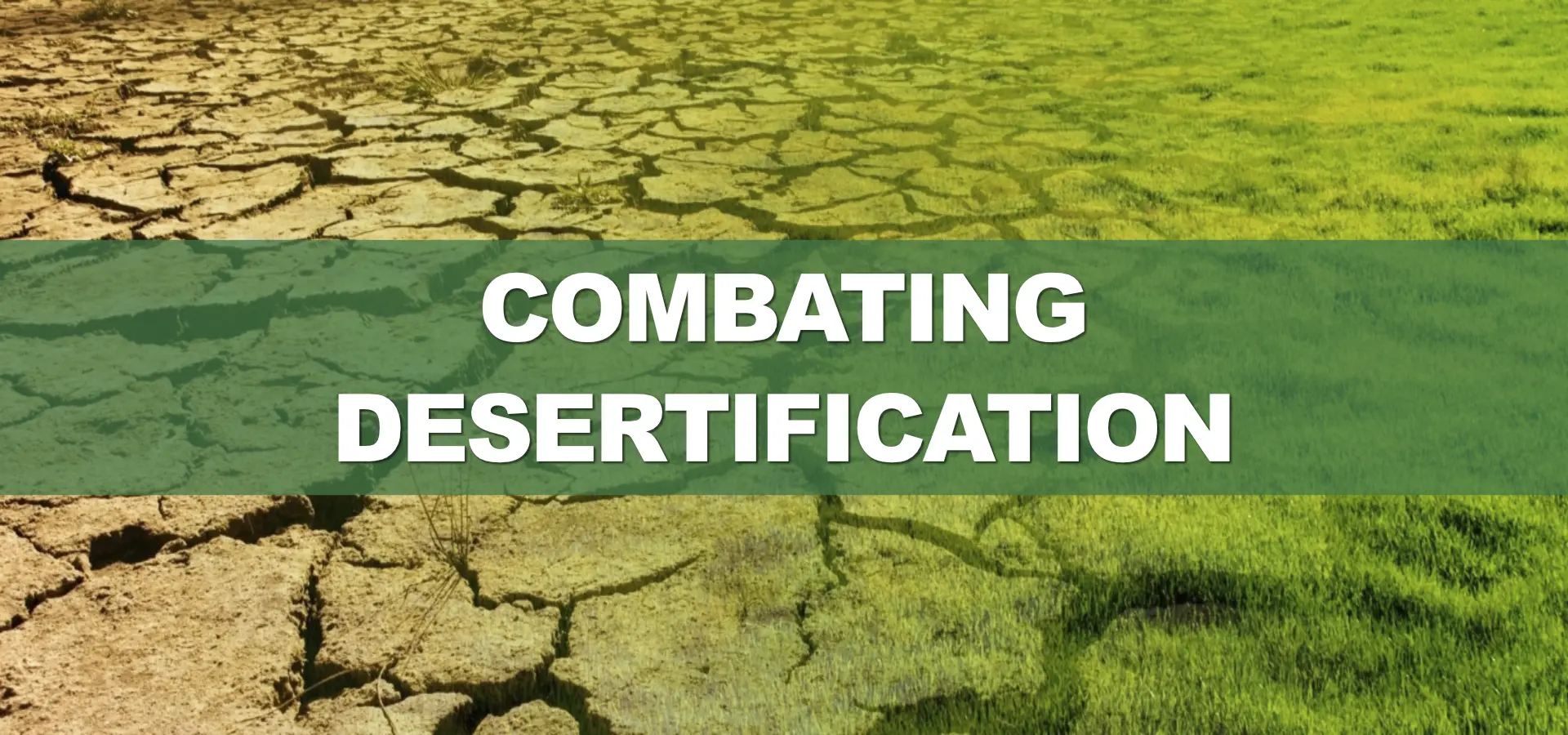 Combating Desertification Combating Desertification World Environment Day 2024 Theme
