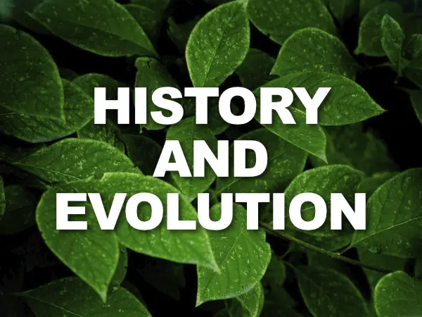 History and Evolution WED 2024 History and Evolution World Environment Day 2024 Theme